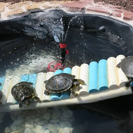 Florida Apartmán Caleta De Fuste